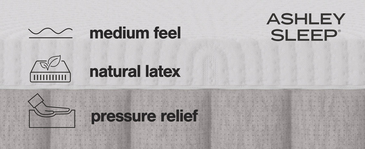 Terra Sleep Medium King Mattress