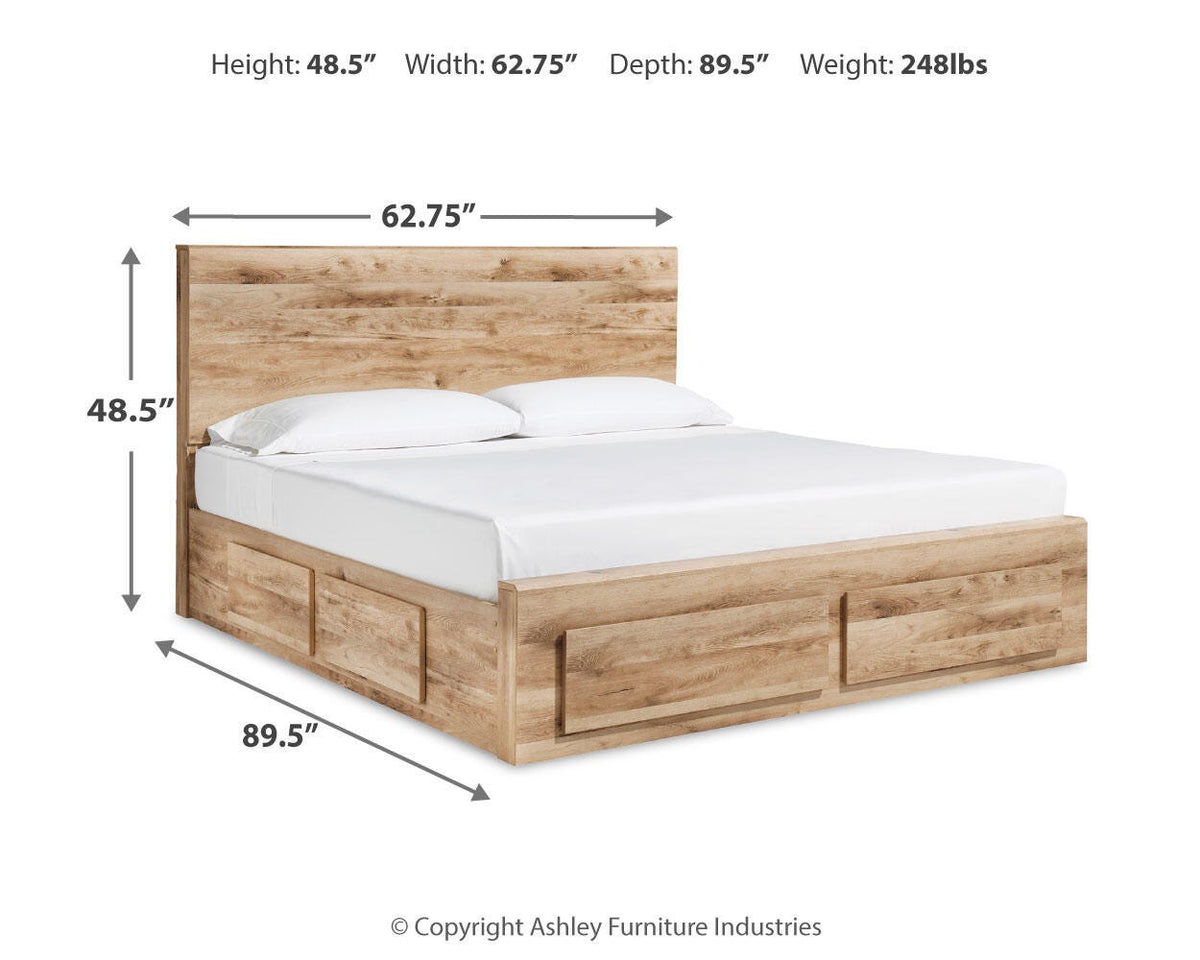 Hyanna Queen Panel Storage Bed with 2 Under Bed Storage Drawer
