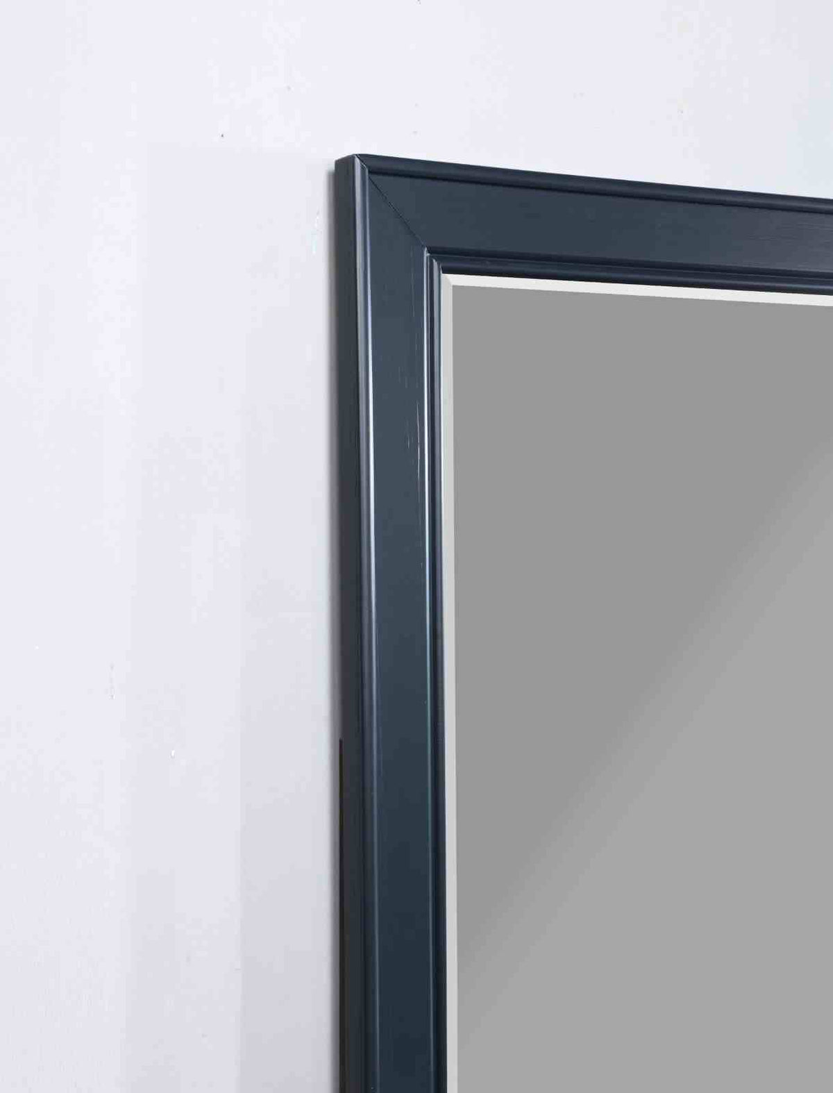 Manzanillo Mirror