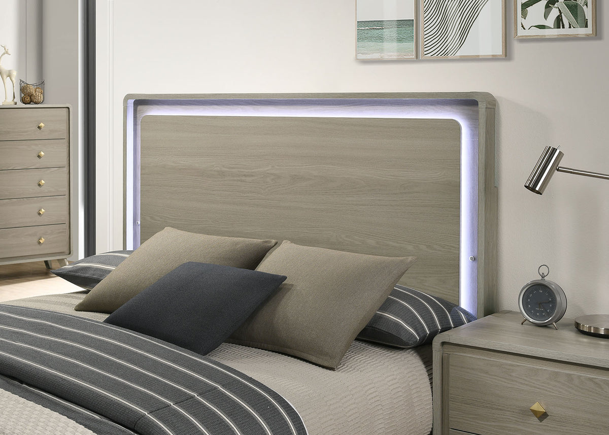 Rainier Bed
