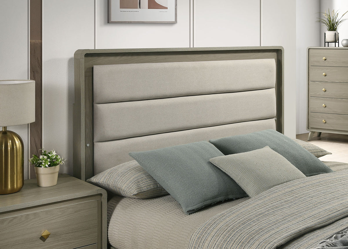 Rainier Bed