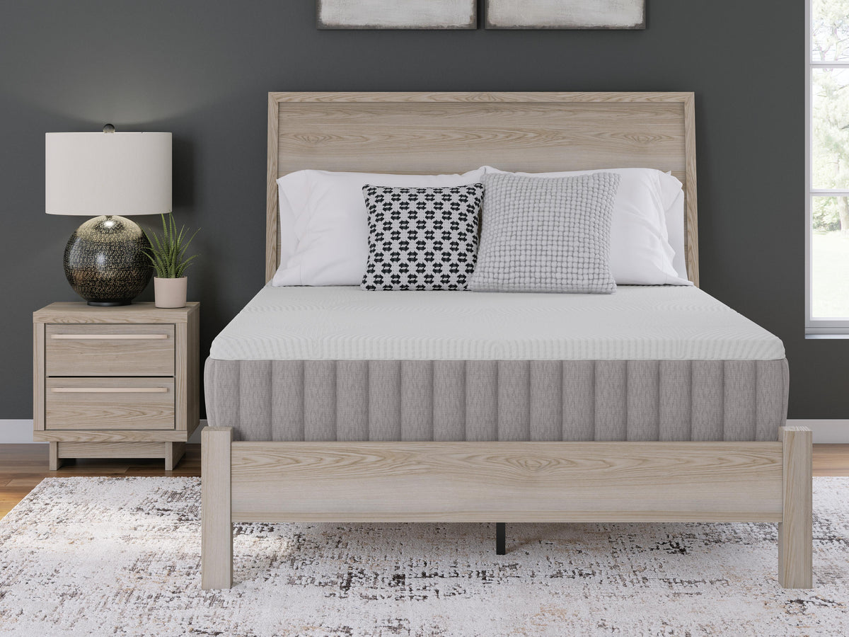 Terra Sleep Medium Queen Mattress