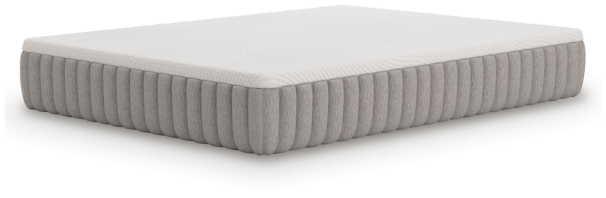 Terra Sleep Medium Queen Mattress