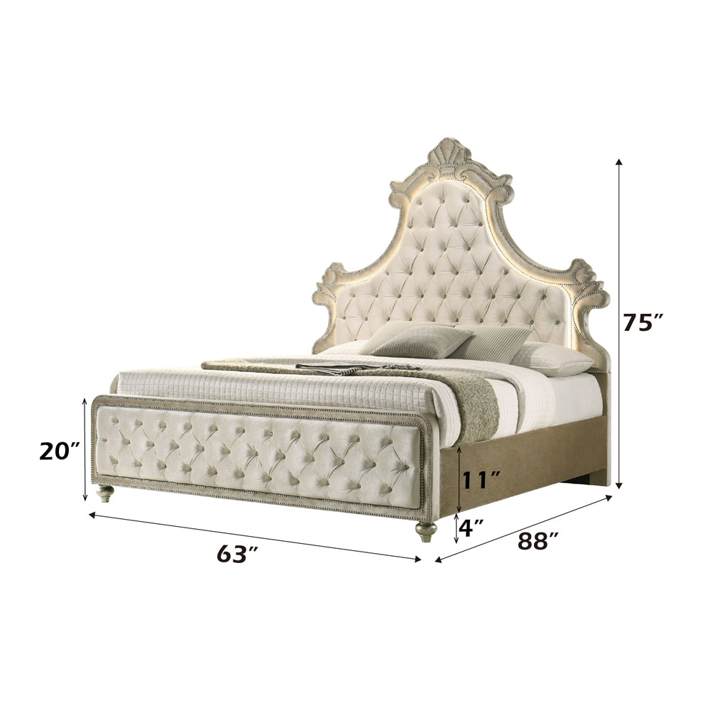 Lucienne Queen Bed w/LED