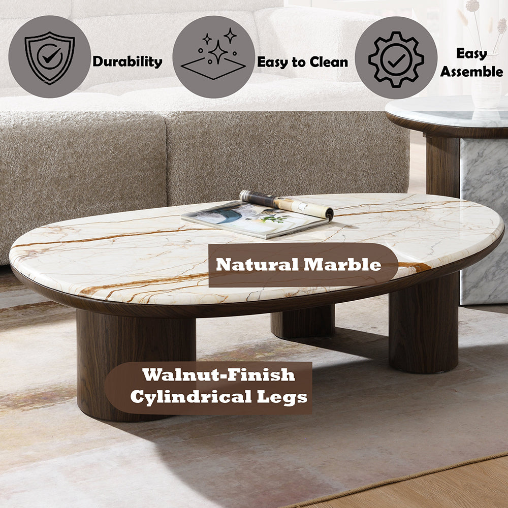 Haidar Coffee Table w/Natural Marble